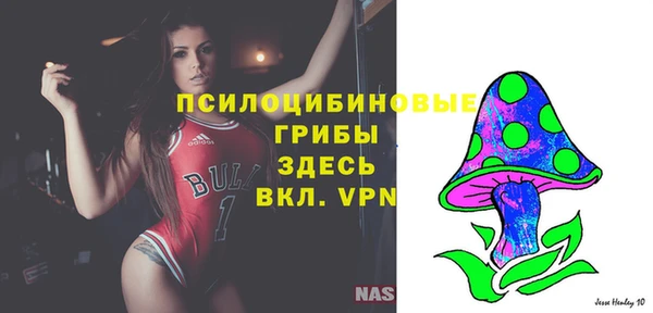 прущие крисы Дмитровск
