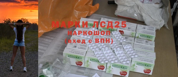 шишки Няндома