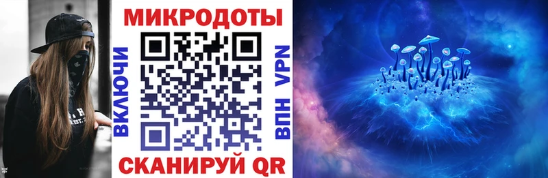 купить закладку  Плёс  МЕГА маркетплейс  Галлюциногенные грибы Psilocybe 