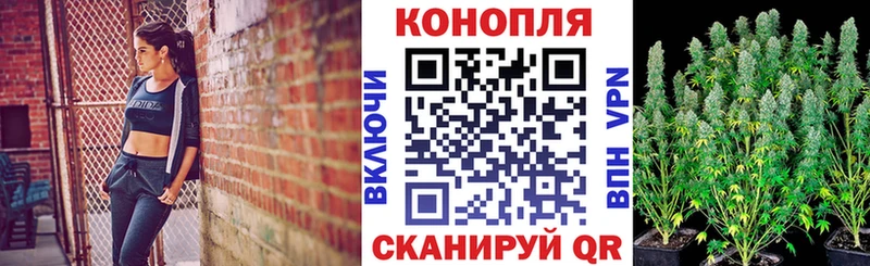 МАРИХУАНА Bruce Banner Плёс